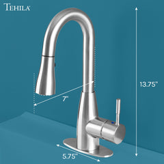 Tehila Stainless Steel Finish Low Profile Pull-Down Faucet by Utility-Sink.com