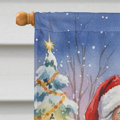 Scottish Deerhound with Santa Claus House Flag by Caroline's Treasures