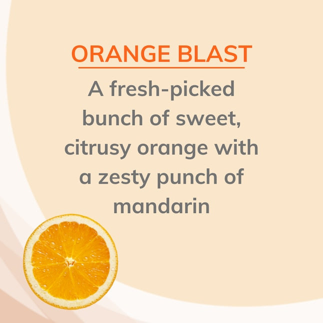 Orange Blast Air Freshener - Natural Odor Eliminator | Citrus Magic
