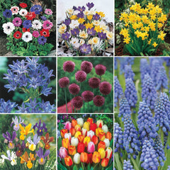 Classic Dutch Garden by Live Good Logistics