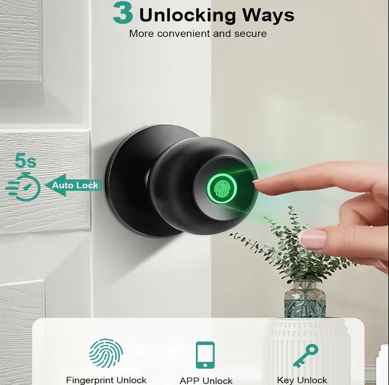 BioSecure Smart Lock by V.I.P Digital Presence