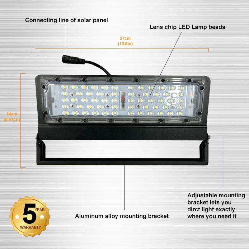Outdoor Energy‑Independent Solar Lighting System – BICSSL‑05PN Series | No Power Required by Brighticonic