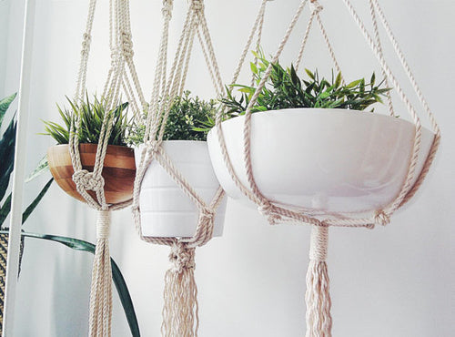 Macrame Plant Hanger by Homemaintenancesupplies2